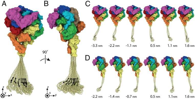 Fig. 5.