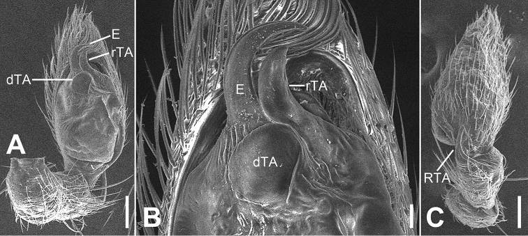 Figure 19.