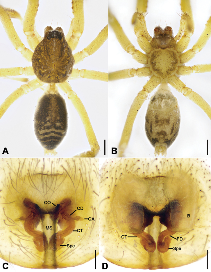 Figure 3.