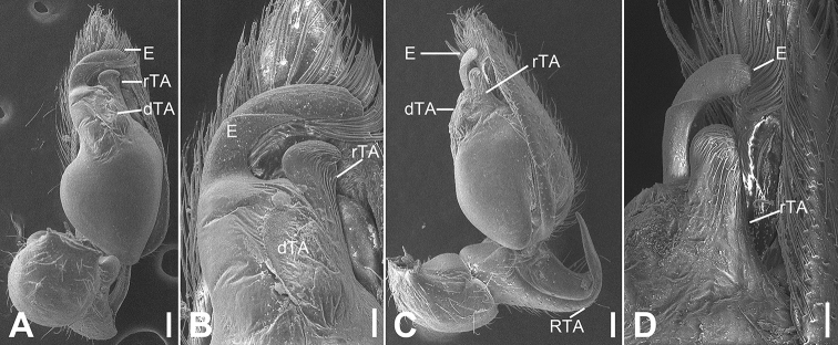 Figure 13.