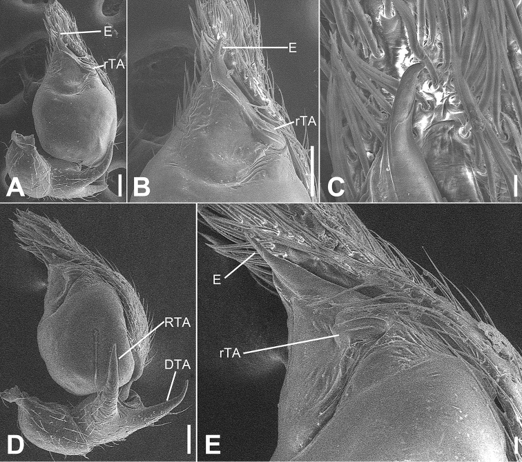 Figure 10.