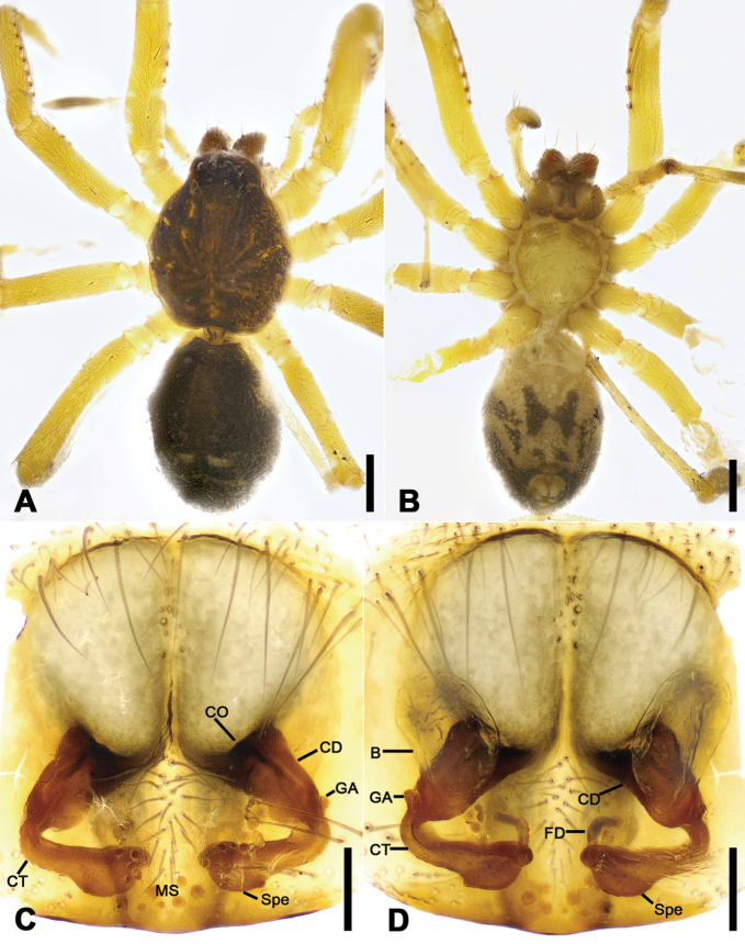 Figure 21.