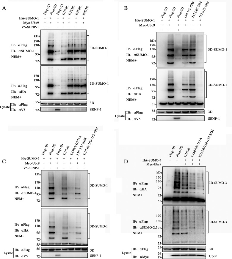 FIG 3