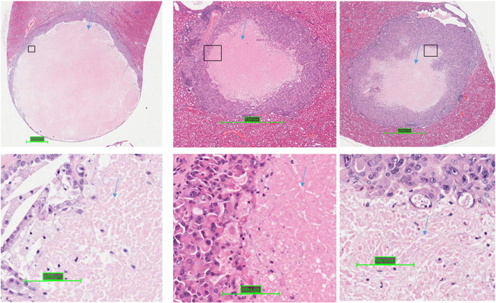 Supplemental Figure 1