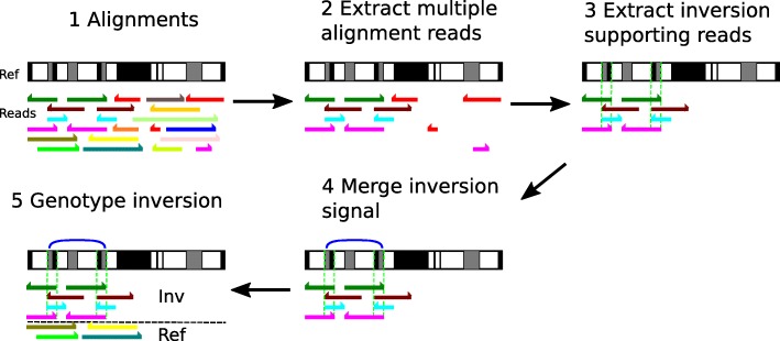 Fig. 1