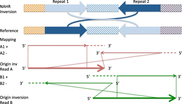 Fig. 2