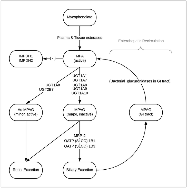 Figure 1: