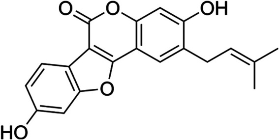 FIGURE 1