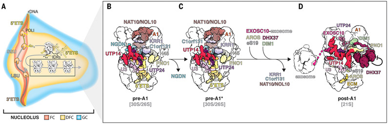 Fig. 7.