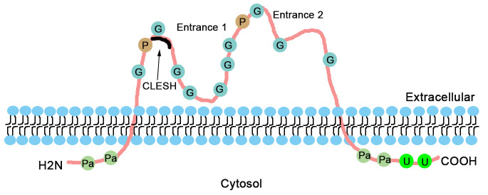 Figure 1.