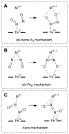 Figure 24