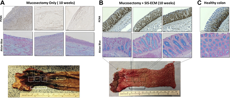 Fig. 3 –