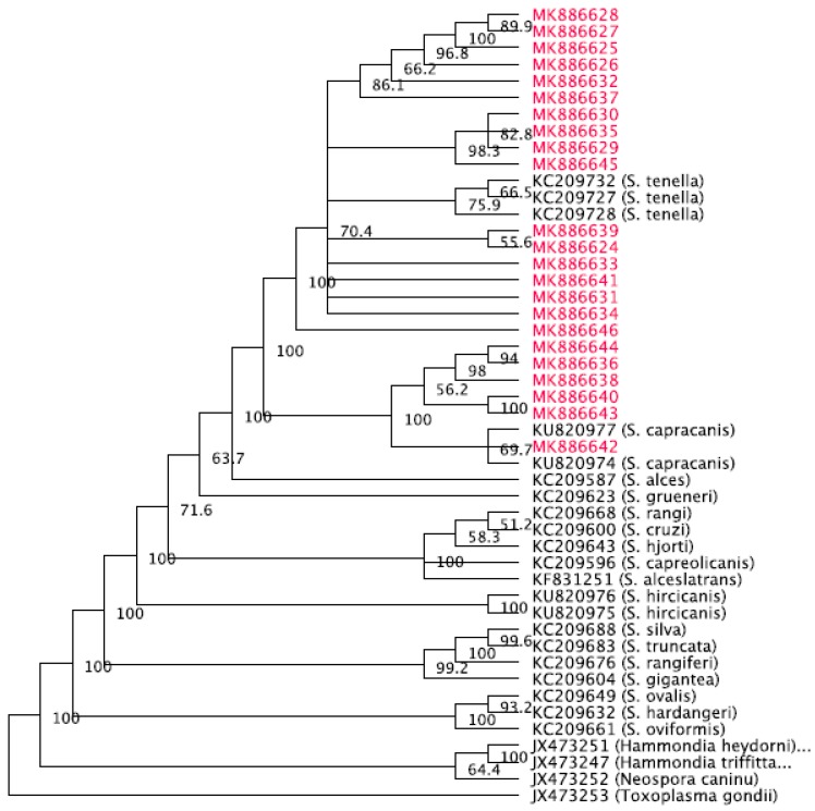 Figure 2