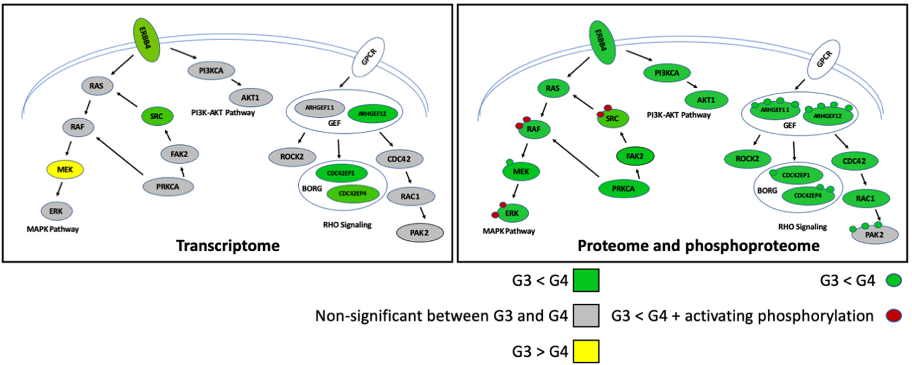 Figure 3 |