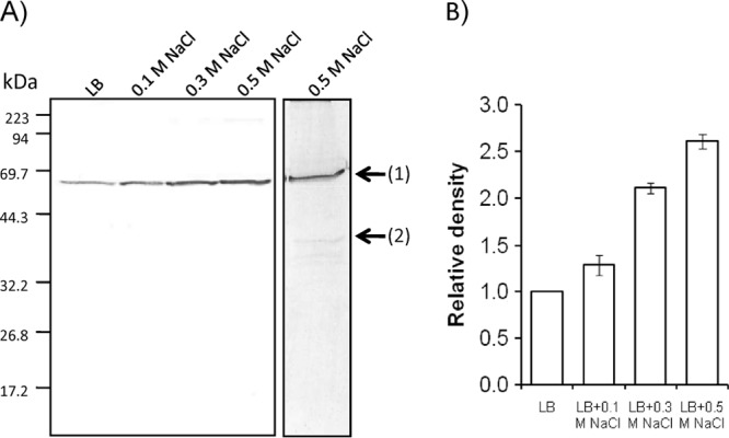 FIG 4