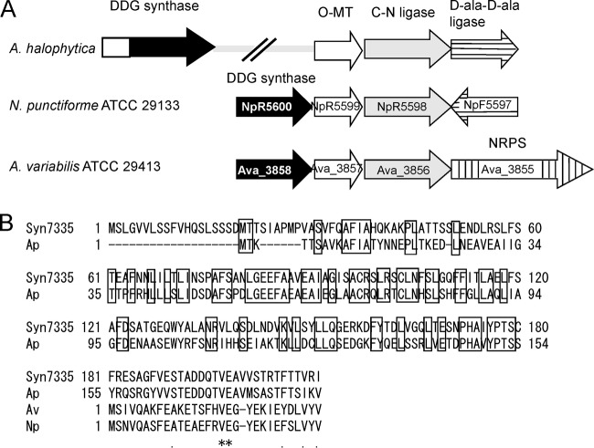 FIG 3