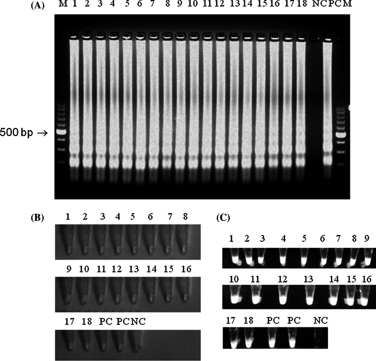 Fig. 3