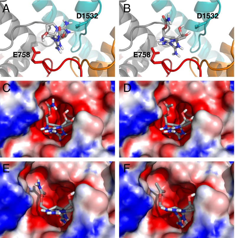 Fig. 4.