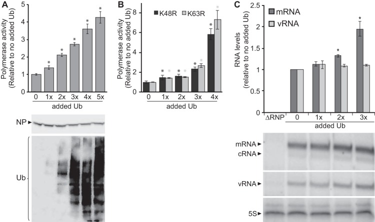 FIG 3