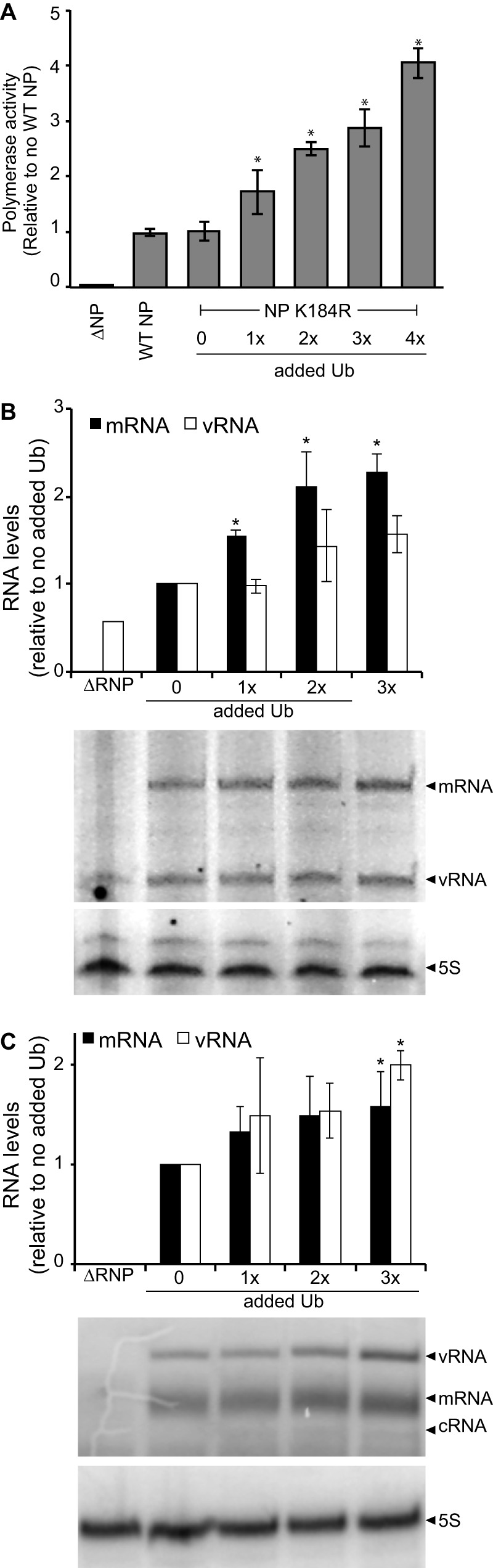 FIG 4