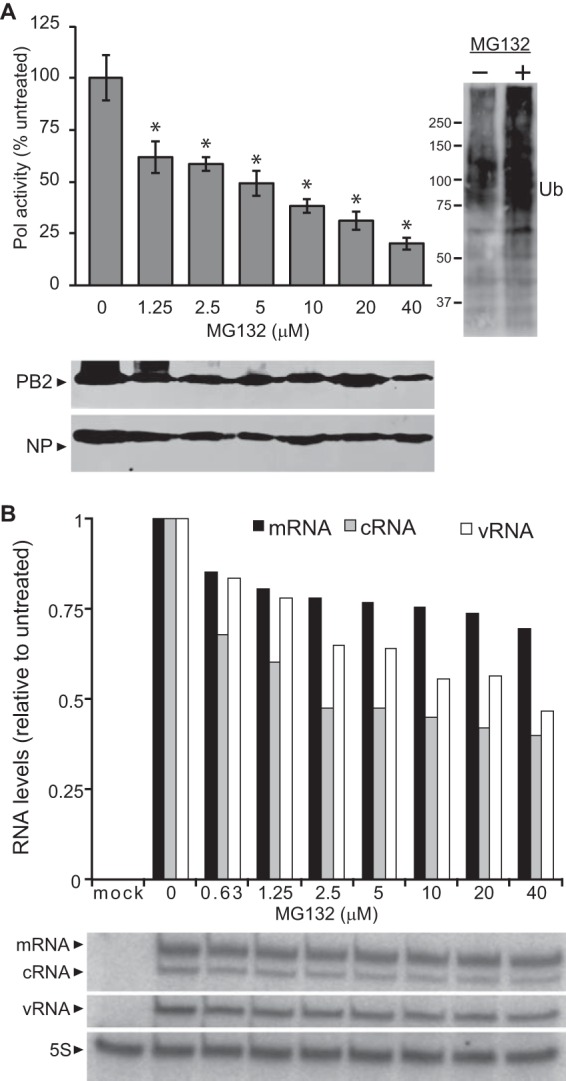 FIG 2