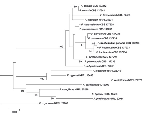 Fig. 8.