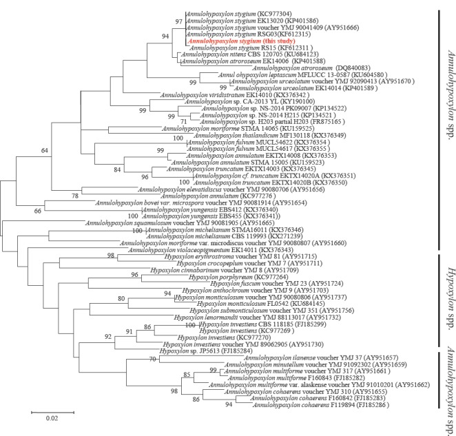 Fig. 1.