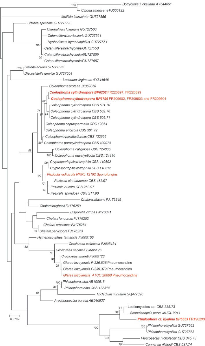 Fig. 7.