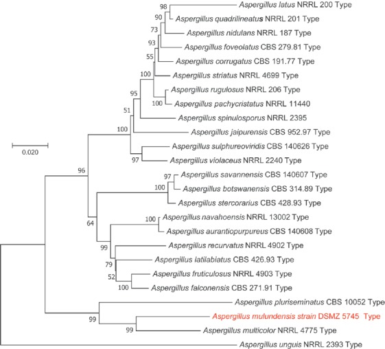 Fig. 3.