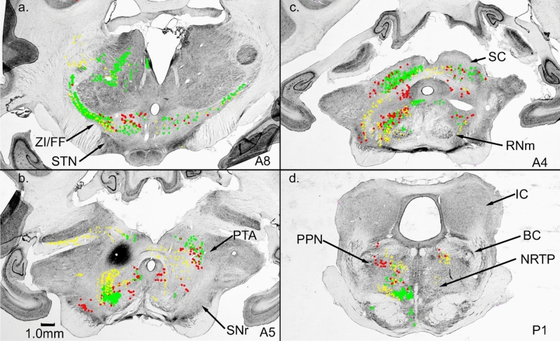 Fig. 10