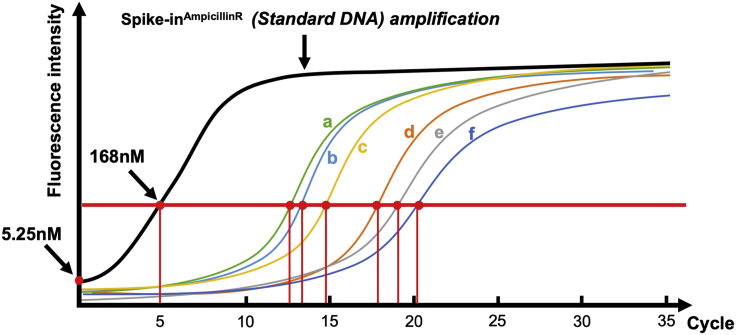 Figure 10