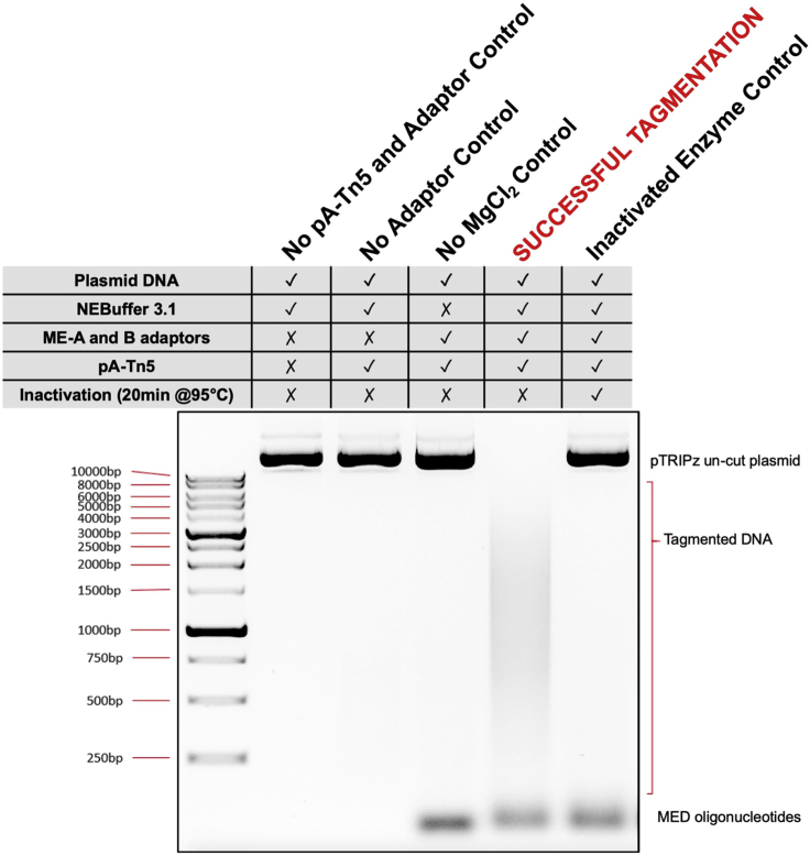 Figure 2