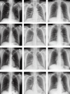 Fig. 10