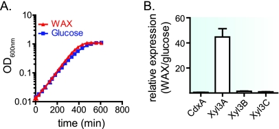 FIG. 4.