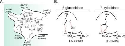 FIG. 5.