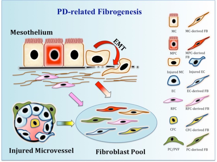 FIGURE 3 —