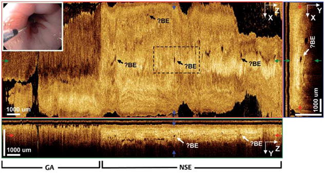 Fig. 6