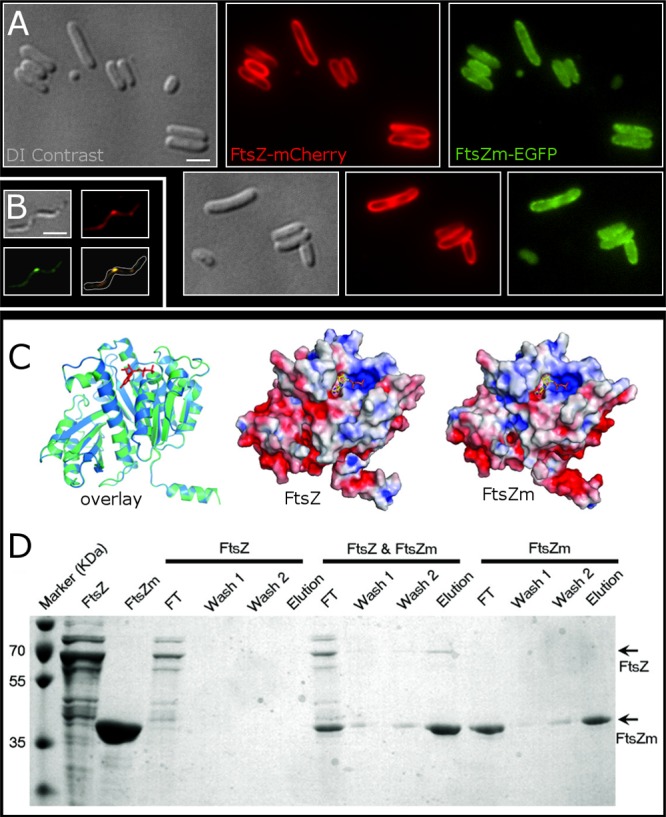 FIG 4