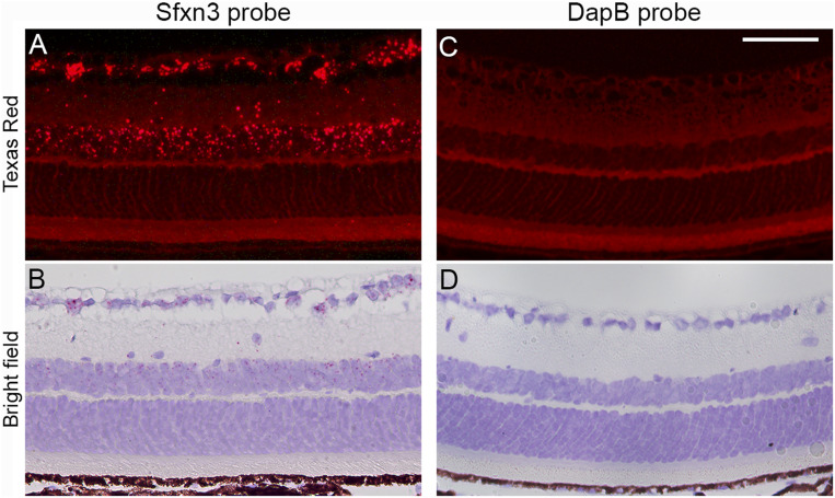 Fig. 8.