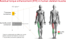 Image, graphical abstract