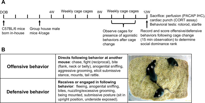 Figure 1.