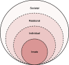 Fig. 1