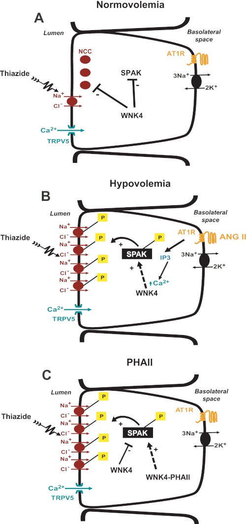 Fig. 3.