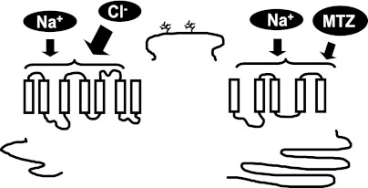 Fig. 2.