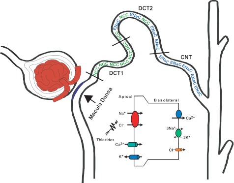 Fig. 1.