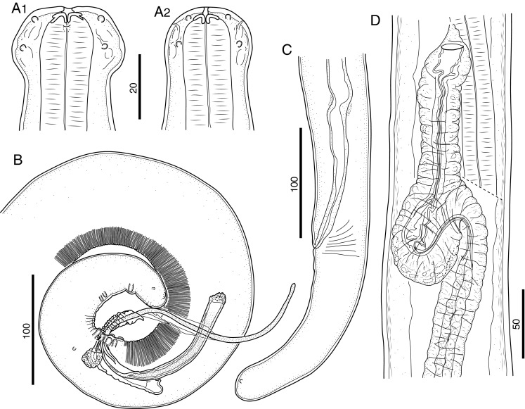 Fig. 5