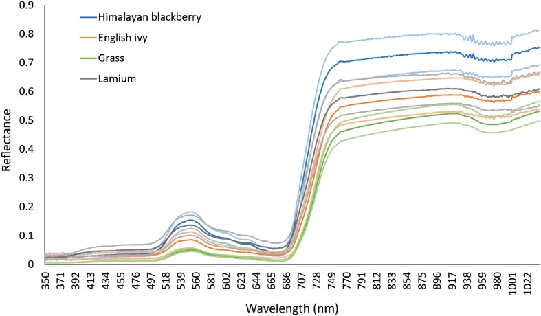 FIGURE 3