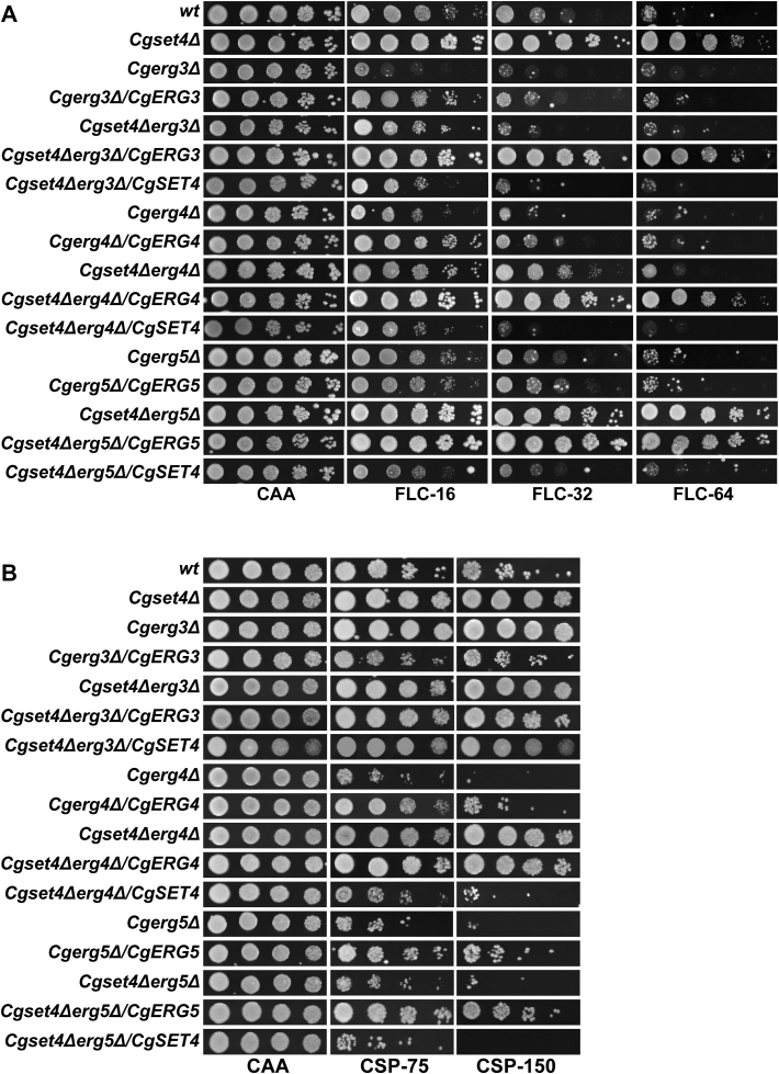 Figure 6