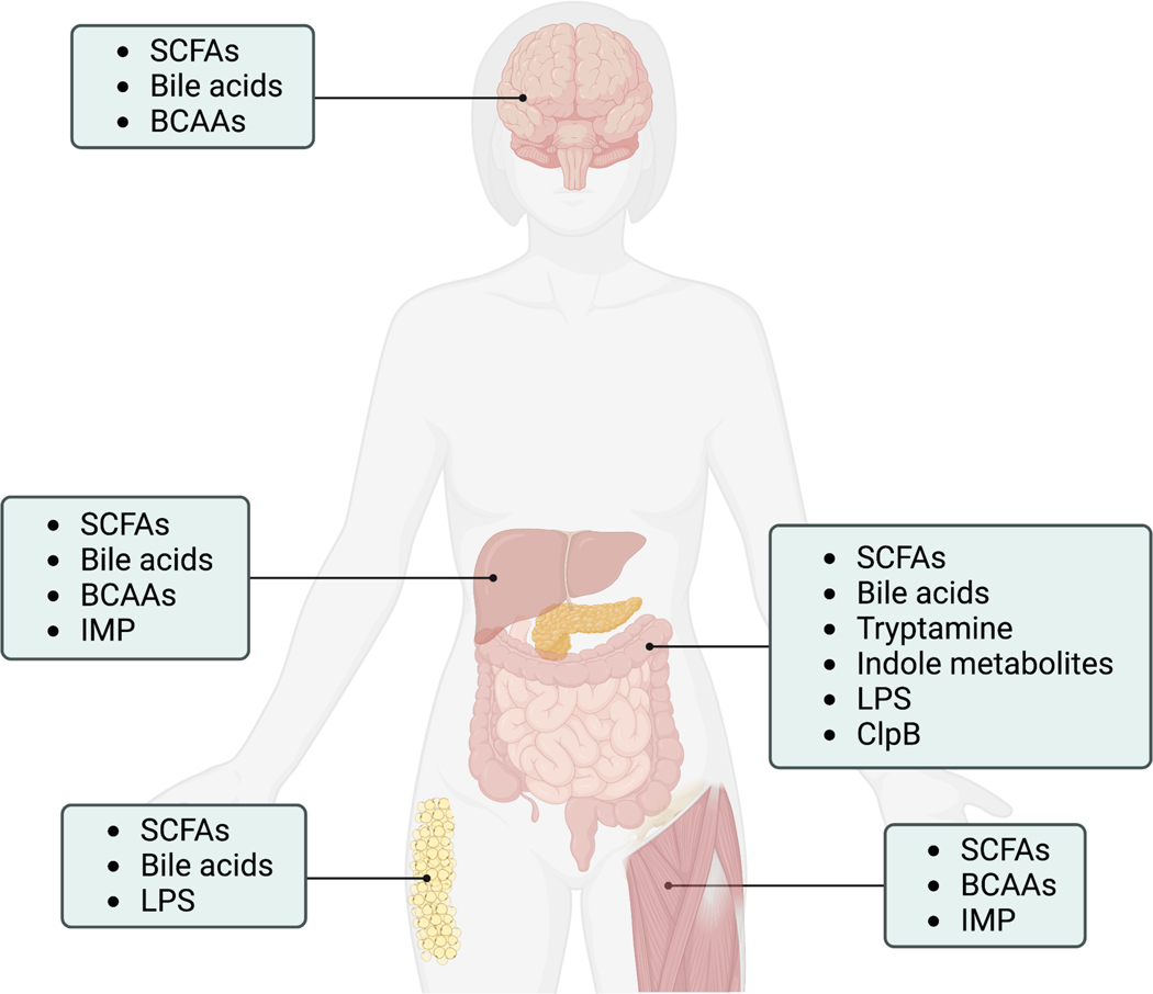 Figure 3.