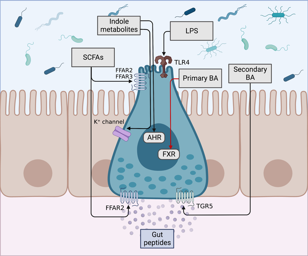 Figure 2.